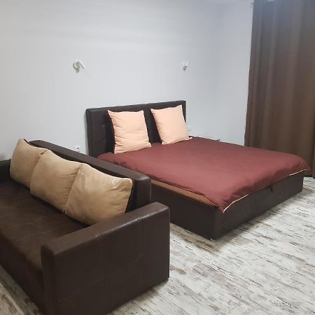 Silver Star Apartment 40m Uzjhorod Exteriör bild