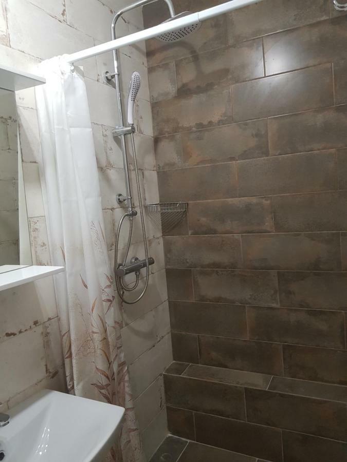 Silver Star Apartment 40m Uzjhorod Exteriör bild